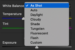 Camera RAW White Balance settings